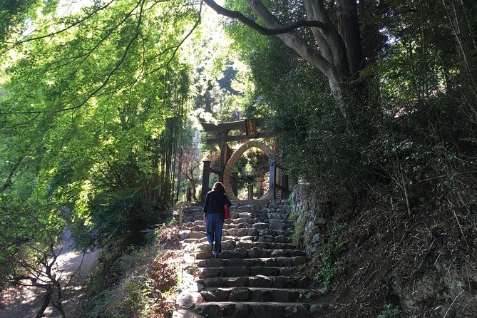 Tokyo Countryside Exploration Private Tour - Torii Pagoda and a link to Xuanzang