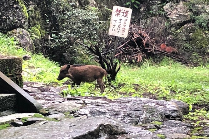 Tokyo Countryside Exploration Private Tour - Arima Dam and the countryside between stops
