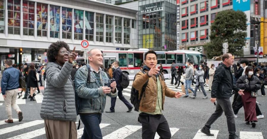 Tokyo: Custom Hidden Gems & Highlights Tour with Local Guide - How the custom Tokyo tour works