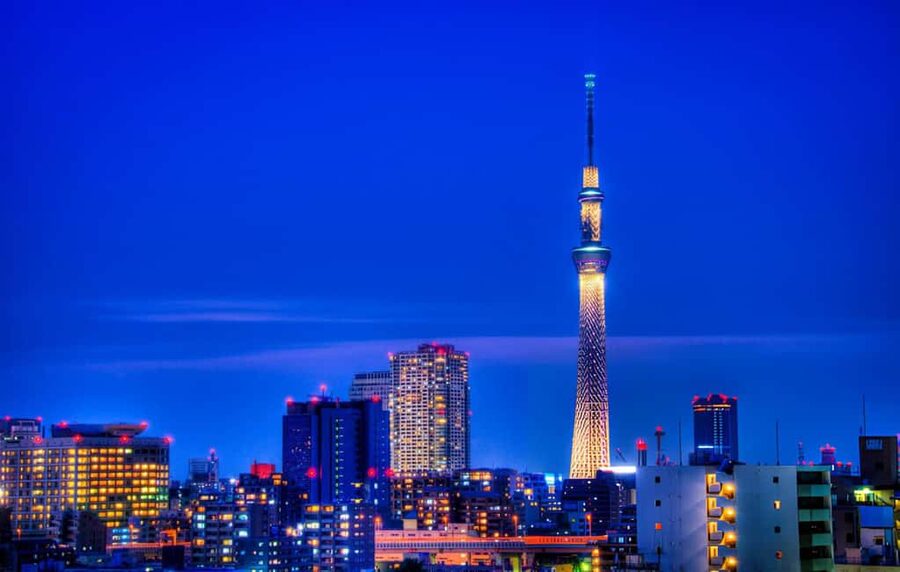 Tokyo: Customizable Day Trip Within Tokyo & English-Driver - What the guide service is really like