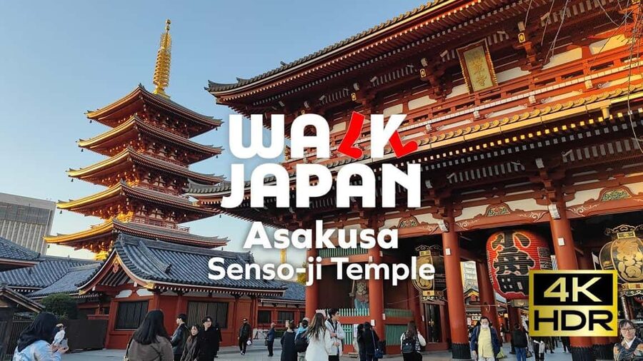 Tokyo: Customizable Day Trip Within Tokyo & English-Driver - Why a private car helps in Tokyo