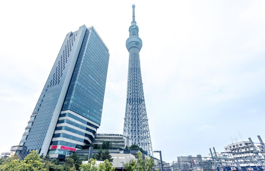 Tokyo: Customizable Day Trip Within Tokyo & English-Driver - Tokyo Skytree offers the big city view
