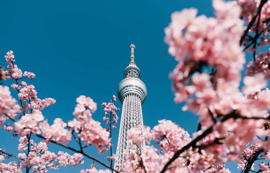 Tokyo: Customizable Day Trip Within Tokyo & English-Driver - Odaiba brings in futuristic Tokyo
