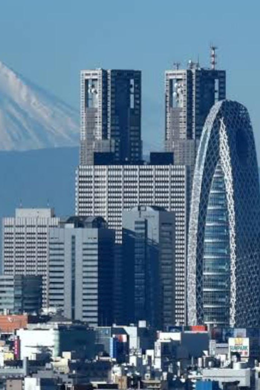 Tokyo: Customizable Private Guided Walking Tour - Meiji Shrine, Harajuku, and Shibuya