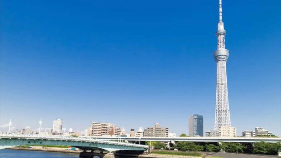 Tokyo: Customizable Private Guided Walking Tour - Alleys, teahouses, temples, and lesser-known stops