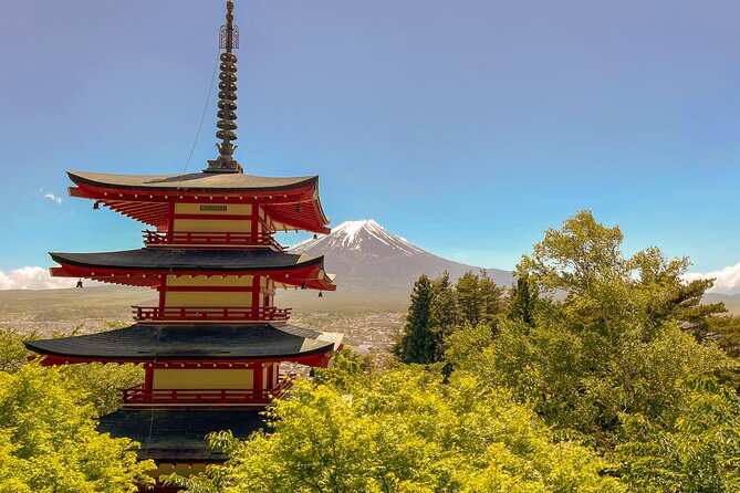 Tokyo: Customized Mt. Fuji & Hakone Sightseeing Private Day Trip - Kitaguchi Hongu Fuji Sengen Jinja in the forest