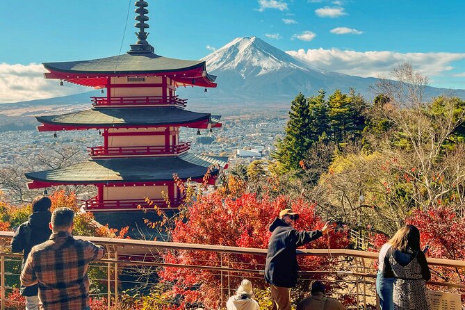 Tokyo: Customized Mt. Fuji & Hakone Sightseeing Private Day Trip - The Panoramic Ropeway and its paid admission