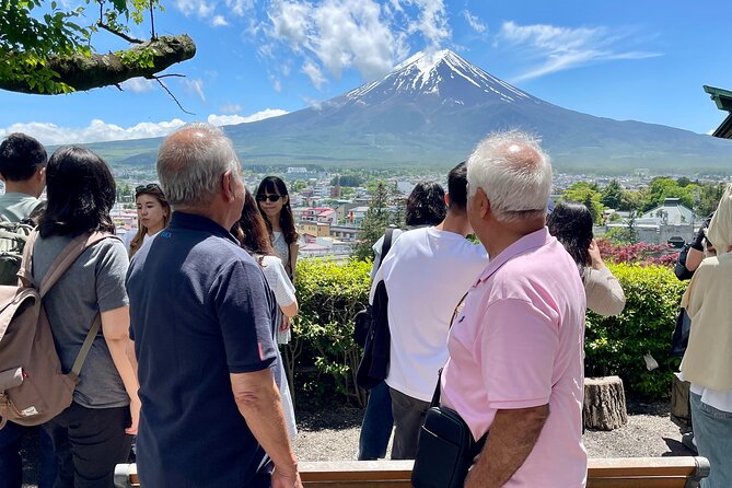 Tokyo: Customized Mt. Fuji & Hakone Sightseeing Private Day Trip - How to use the flexible itinerary wisely