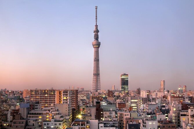 Tokyo Customized Private Tour: See Top Attractions in 1 Day - Key points to know before booking