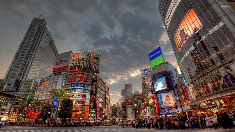 Tokyo: Customized Private Tour with a Local Guide - A Tokyo day built around your interests