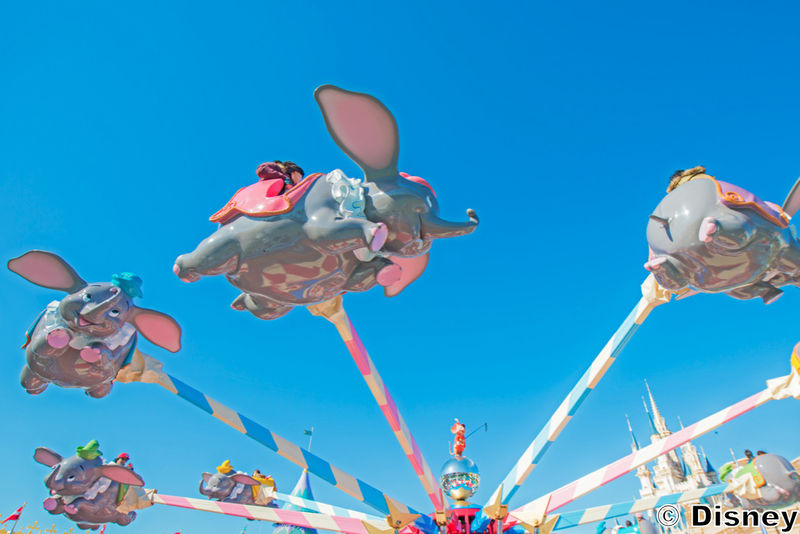 Tokyo Disney Resort - Tokyo Disneyland & Tokyo DisneySea Park Tickets - Should you book a Tokyo Disney Resort ticket?
