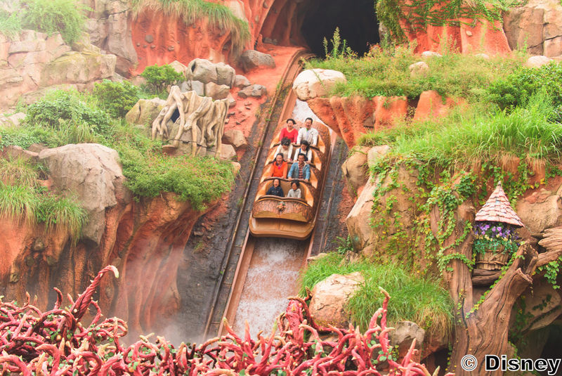 Tokyo Disney Resort - Tokyo Disneyland & Tokyo DisneySea Park Tickets - FAQ
