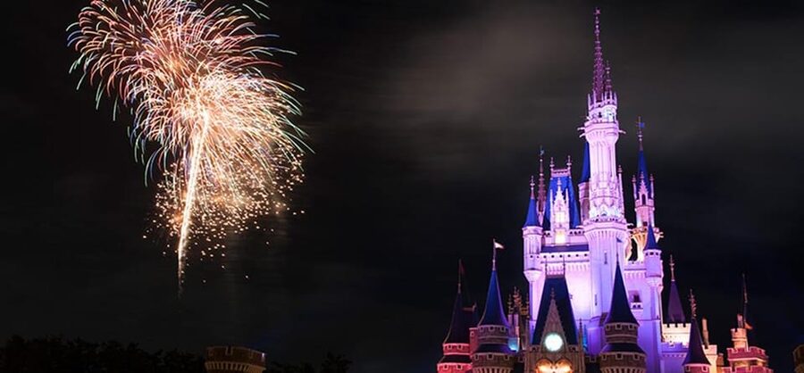 Tokyo Disneyland: 1-Day Entry Ticket and Private Transfer - Communication Matters More Than Usual
