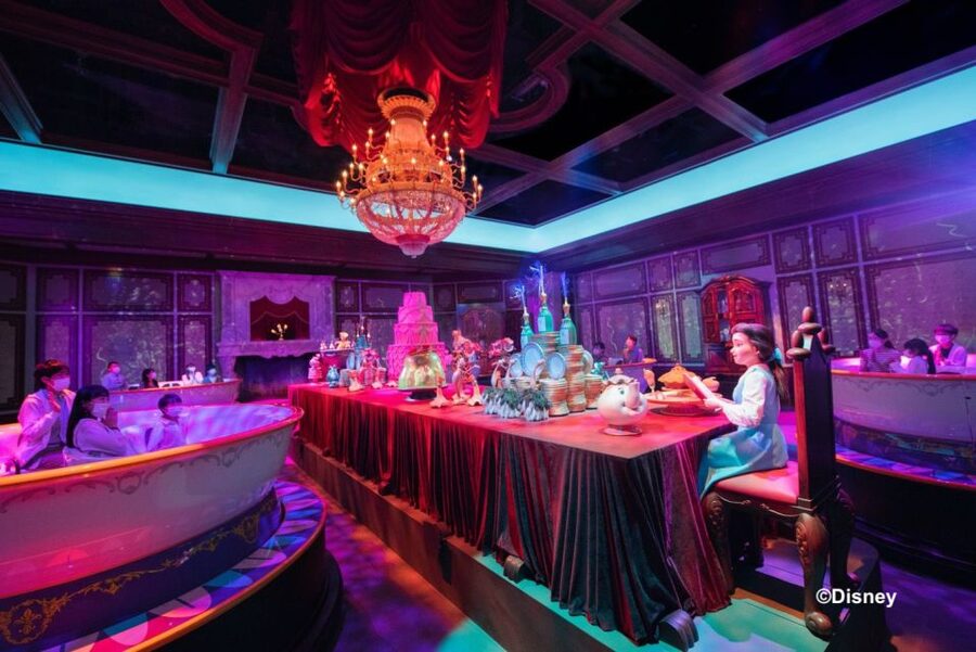 Tokyo Disneyland 1-Day Passport - Crowds, weather, and the physical effort