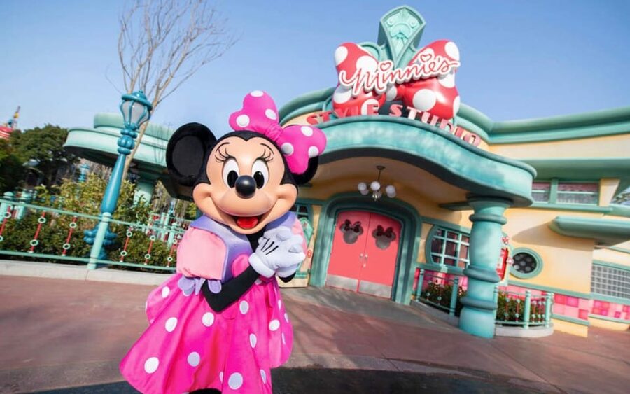 Tokyo DisneySea: 1-Day Ticket & Private Transfer - Key points to know before booking