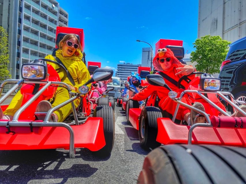 Tokyo: Flagship 2-Hour Street Go-Kart Tour by Street Kart - Across Rainbow Bridge by go-kart
