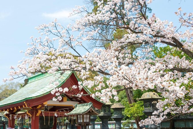 Tokyo: Food Tour in Ueno with 10+ Tastings of Japanese Classics - What the 10-plus tastings include