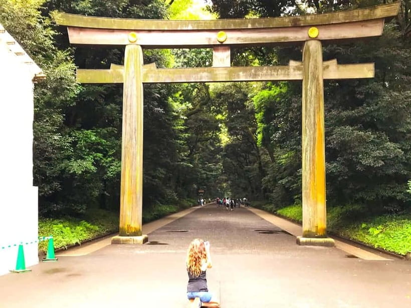 Tokyo: Full Course Tour: Explore 15 Must-Sees & Hidden Gems - Hachiko and Shibuya Crossing: Tokyo at full speed