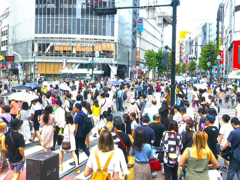 Tokyo: Full Course Tour: Explore 15 Must-Sees & Hidden Gems - Ueno Park and Ameyoko Street
