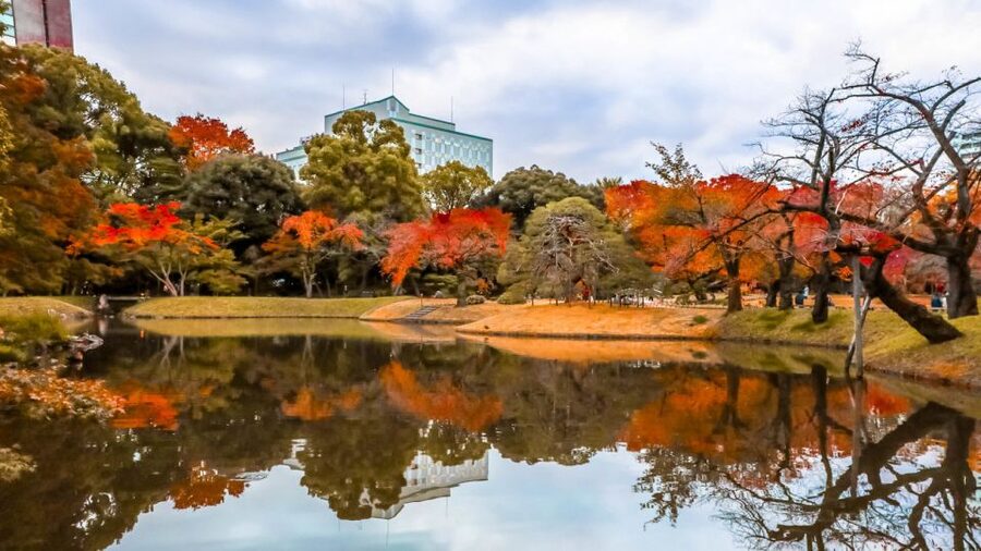Tokyo: Full-Day Japanese Garden Private Guided Tour - Why a private garden tour works well in Tokyo