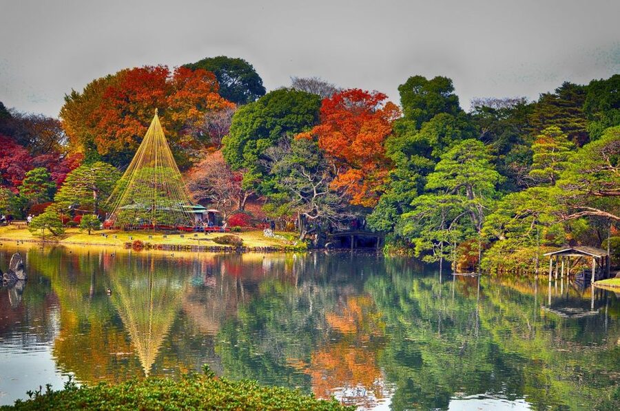 Tokyo: Full-Day Japanese Garden Private Guided Tour - Meiji Jingu and the quieter garden experience