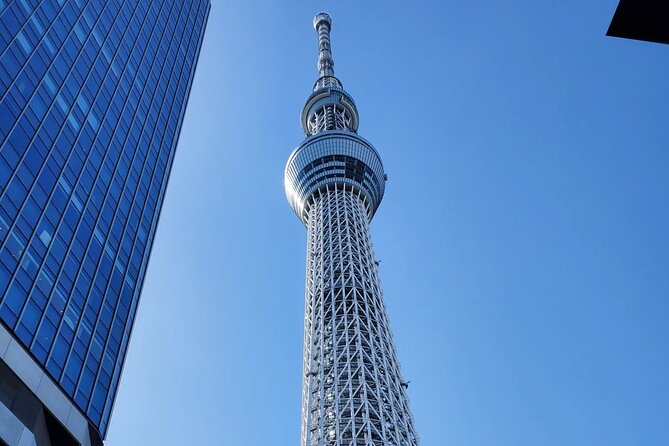 Tokyo Full-Day Private Tour (Customizable) - Why this private Tokyo tour works