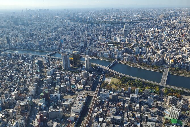 Tokyo Full-Day Private Tour (Customizable) - The private car is the main convenience