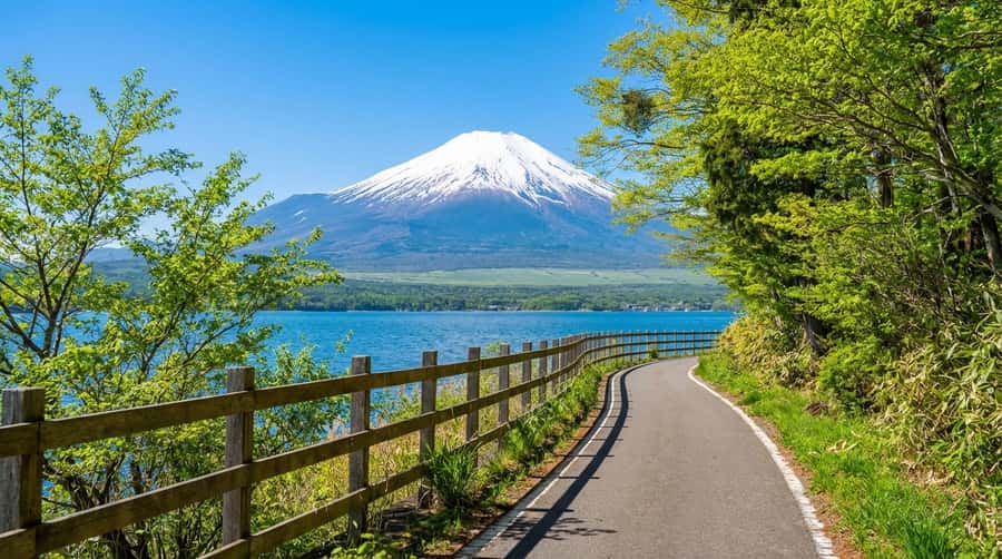 Tokyo: Full-Day Tour of the Six Majestic Spots of Mt Fuji - Six useful things to know before booking