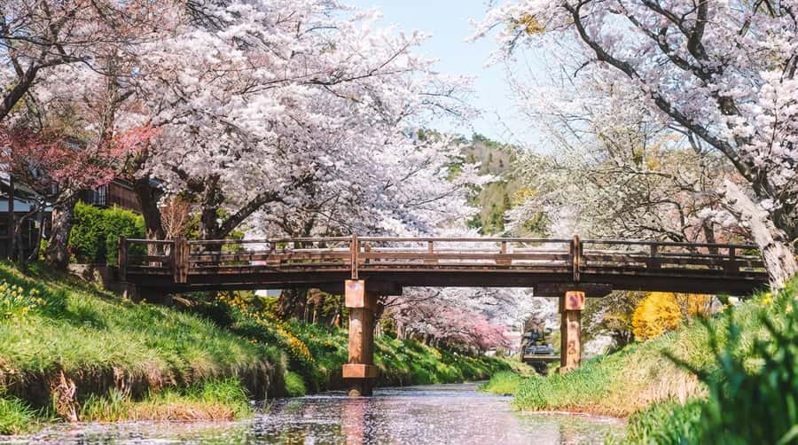 Tokyo: Full-Day Tour of the Six Majestic Spots of Mt Fuji - Transport, guides, and the pace of a long day