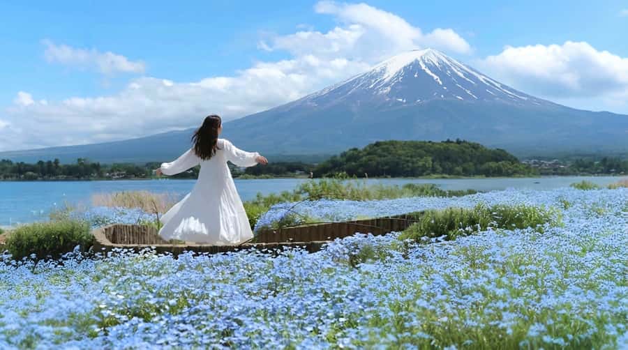 Tokyo: Full-Day Tour of the Six Majestic Spots of Mt Fuji - What the $45 price really covers