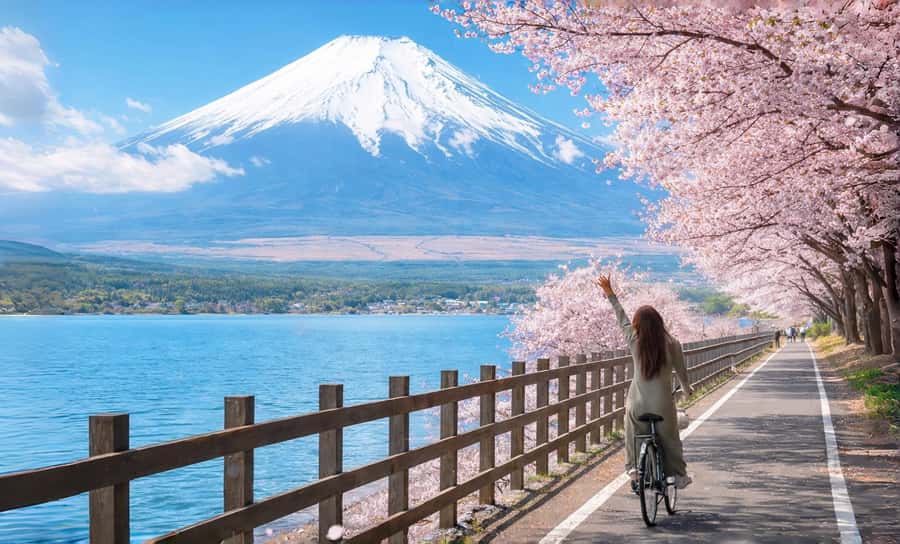 Tokyo: Full-Day Tour of the Six Majestic Spots of Mt Fuji - Hirano Beach and the morning mirror of Mount Fuji