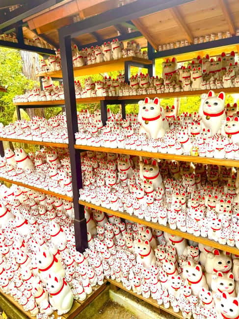 Tokyo: Gotokuji Cat Temple, Shinjuku Cat Cafe & 3D Cat Tour - Taking the train from Shinjuku to Gotokuji