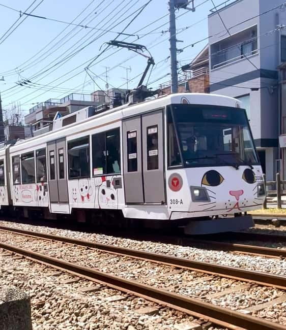 Tokyo: Gotokuji Cat Temple, Shinjuku Cat Cafe & 3D Cat Tour - What the guides add to the day