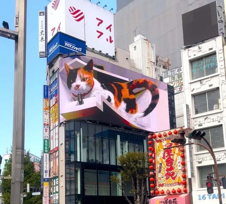 Tokyo: Gotokuji Cat Temple, Shinjuku Cat Cafe & 3D Cat Tour - Is $56 good value for this Tokyo experience?