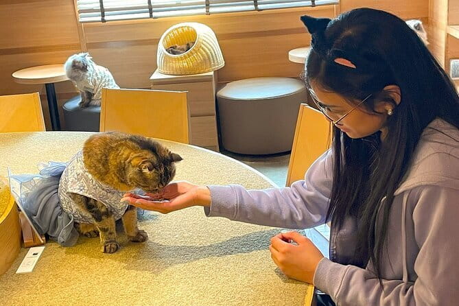 Tokyo: Gotokuji Lucky Cat Temple, Shinjuku Cat Cafe, 3D Giant Cat - The giant 3D cat in Shinjuku