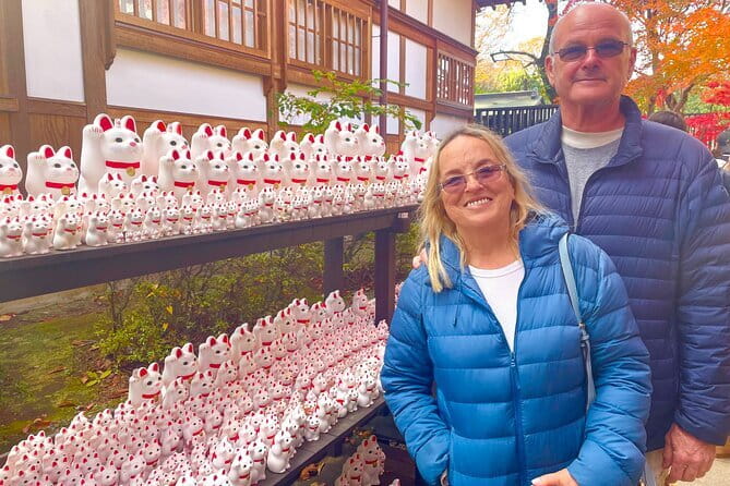 Tokyo: Gotokuji Lucky Cat Temple, Shinjuku Cat Cafe, 3D Giant Cat - Riding from Shinjuku to Gotokuji