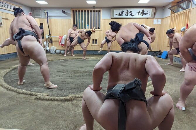 Tokyo: Gotokuji Lucky Cat Temple, Shinjuku Cat Cafe, 3D Giant Cat - What the small group adds