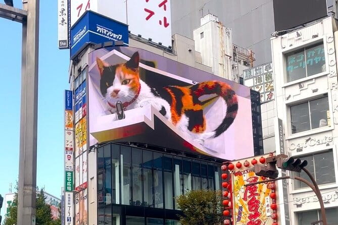 Tokyo: Gotokuji Lucky Cat Temple, Shinjuku Cat Cafe, 3D Giant Cat - Meeting at Shinjuku’s east entrance