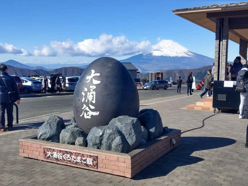 Tokyo: Hakone Fuji Day Tour w/ Cruise, Cable Car, Volcano - Riding the ropeway above Hakone