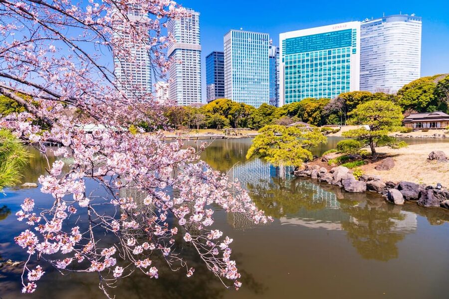 Tokyo: Hama-rikyu Gardens tour with Japanese Tea & Sweets - Why Hama-rikyu Gardens makes a good Tokyo break
