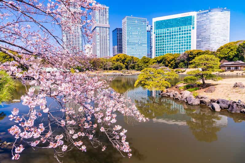 Tokyo: Hama-rikyu Gardens tour with Japanese Tea & Sweets - What the $85 price includes