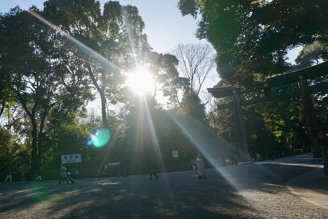 Tokyo: Harajuku Meiji Shrine to Shibuya Crossing Guided Tour - What the guide adds for your money