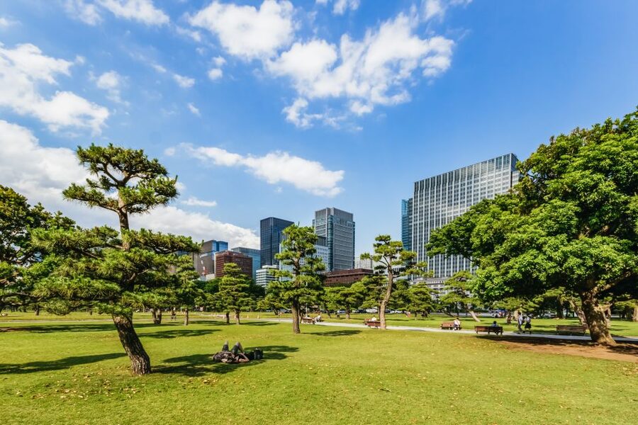 Tokyo: Hop-On Hop-Off Sightseeing Bus Ticket - Route 3: Shinjuku, Shibuya, Harajuku, and Meiji Jingu