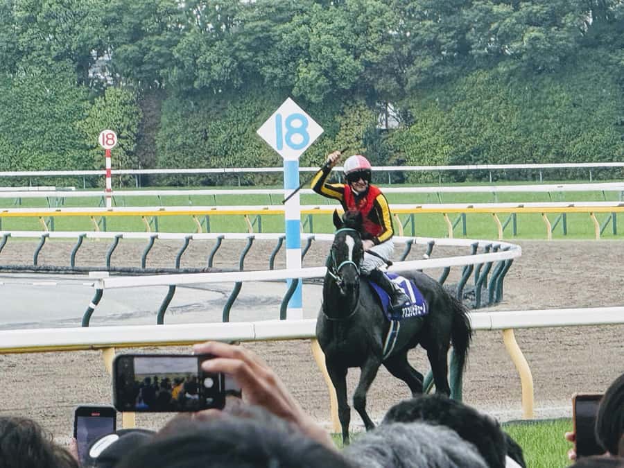 Tokyo: Horse Racing Tour with Local Fan - Key points to know before booking