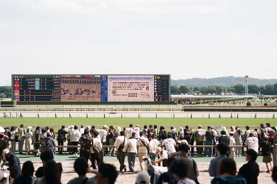 Tokyo: Horse Racing Tour with Local Fan - Tokyo Racecourse, Nakayama, Oi, or Kawasaki