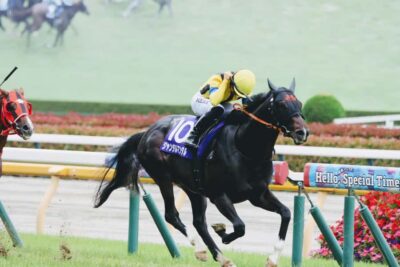 Horse Racing Tour with Local Fan