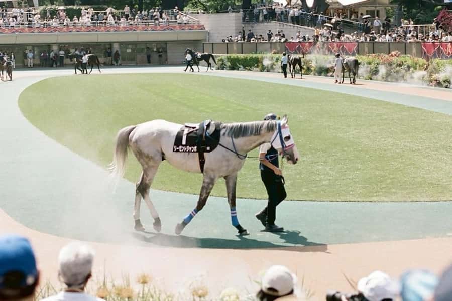 Tokyo: Horse Racing Tour with Local Fan - What the $60 price really covers