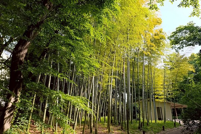 Tokyo: Imperial Palace and Shogun Historical Walking Tour - Key points to know before booking