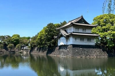Imperial Palace and Shogun Historical Walking Tour