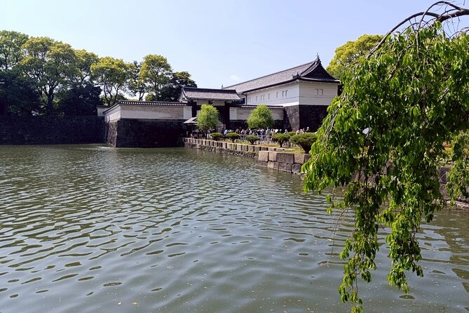 Tokyo: Imperial Palace and Shogun Historical Walking Tour - Group size, pace, and physical effort
